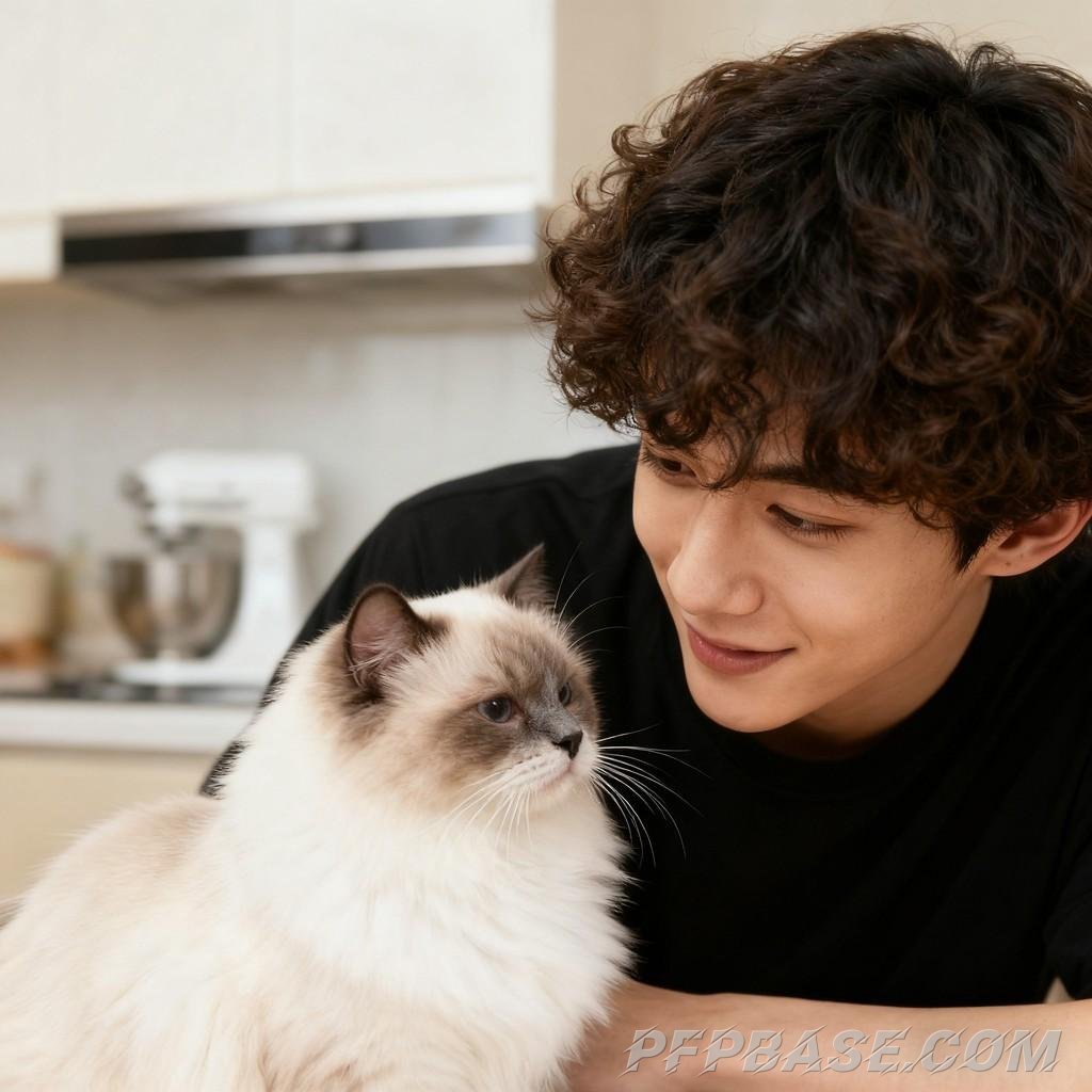 Image 8: playful and cute, warm and soothing, everyday delights, melancholic introspection, urban wanderer