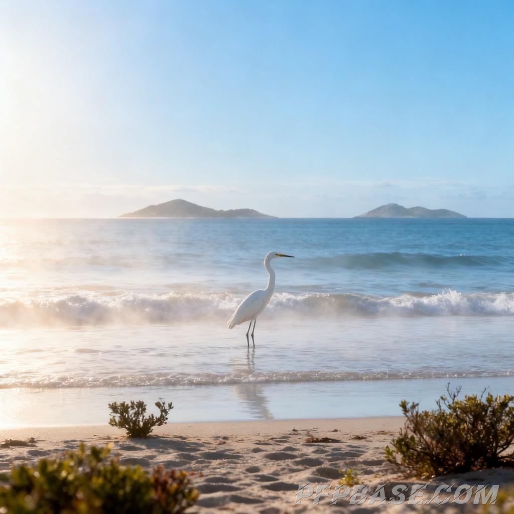 Image 1: seaside, nature, tranquility, healing, dreamy