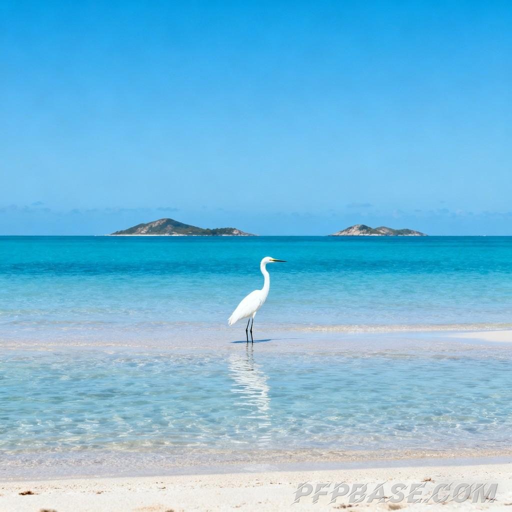 Image 2: seaside, nature, tranquility, healing, dreamy