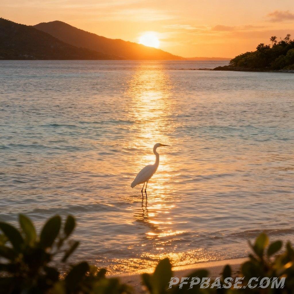 Image 3: seaside, nature, tranquility, healing, dreamy